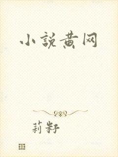 小说黄网