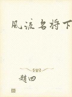 风流名将下载