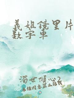 义姐镜里片微博数字车