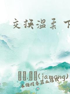 交换温柔 下载