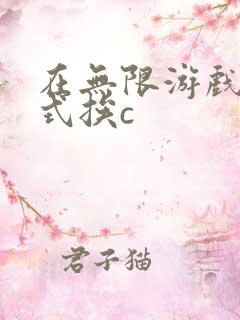 在无限游戏里花式挨c