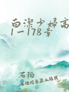 白洁少妇高义第1一178章