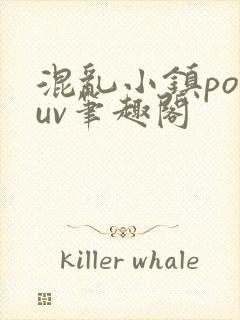 混乱小镇popuv笔趣阁