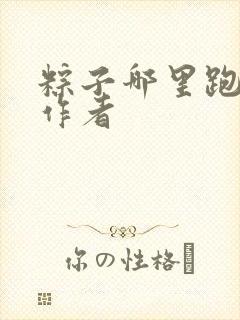 粽子哪里跑小说作者