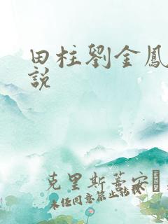 田柱刘金凤的小说