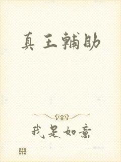 真王辅助