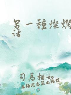 另一种灿烂的生活