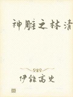 神雕之林清传