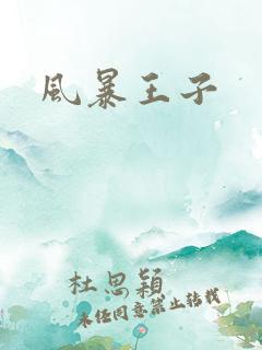 风暴王子