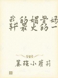 我的媚骨妈妈林轩最火的一句