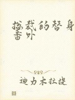 总裁的替身前妻番外