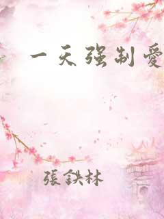一天强制爱
