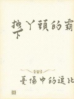 拽丫头的霸道殿下