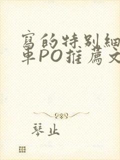 写的特别细的开车PO推荐文