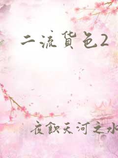 二流货色2