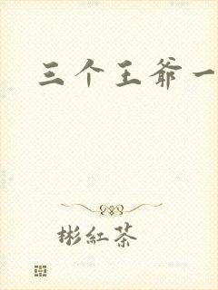 三个王爷一个妃