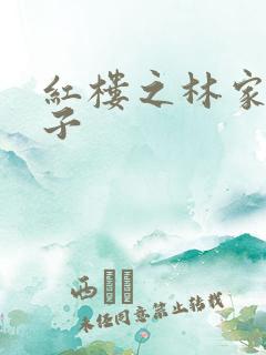 红楼之林家庶长子