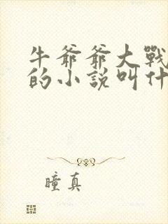 牛爷爷大战小丽的小说叫什么