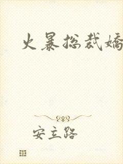 火暴总裁娇柔妻