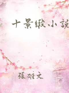 十景缎小说