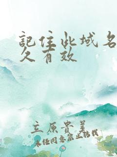 记住此域名记永久有效