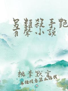 另类杀手艳福星有声小说