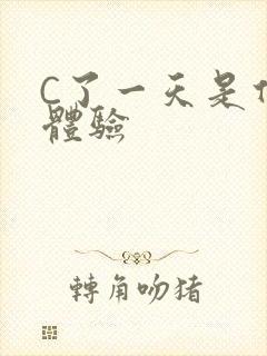 C了一天是什么体验