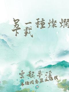 另一种灿烂生活下载