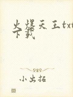 火爆天王txt下载
