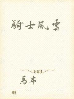 骑士风云