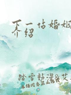 下一站婚姻剧情介绍