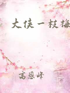 大侠一枝梅