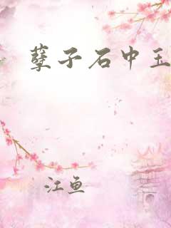 孽子石中玉