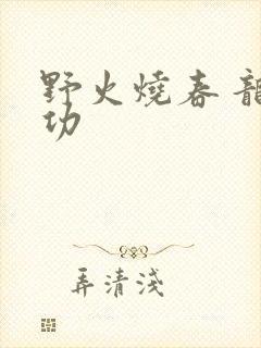 野火烧春 龙鸣功