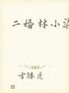 二婚 林小染