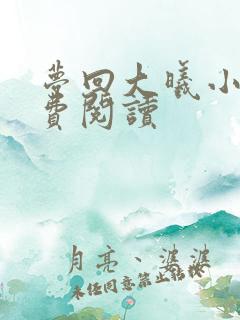 梦回大曦小说免费阅读