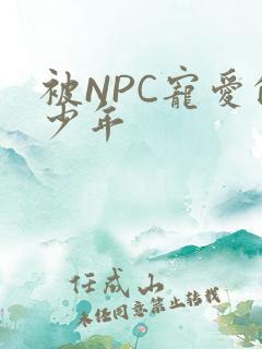 被NPC宠爱的少年
