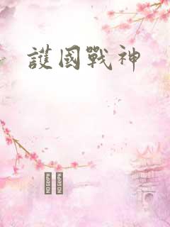 护国战神