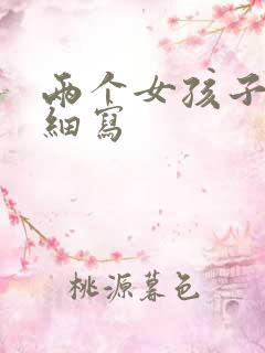 两个女孩子开车细写