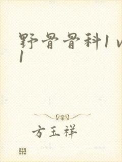 野骨骨科1 v1