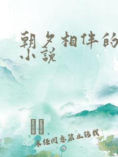 朝夕相伴的哥哥小说