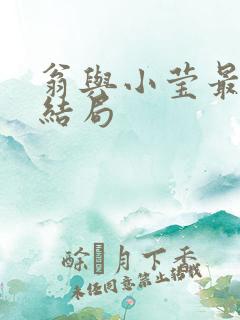 翁与小莹最新大结局