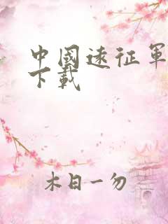 中国远征军全集下载