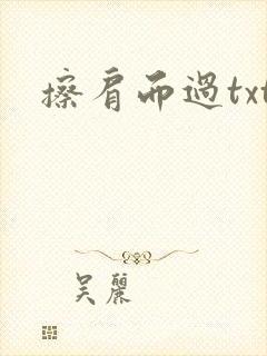 擦肩而过txt