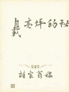 月亮坪的秘密下载