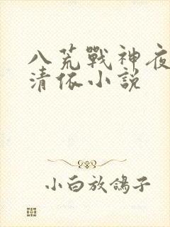八荒战神夜麟云清依小说