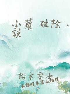 小萝 破除 小说