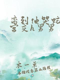 脔到他哭蛇双根宫交h男男