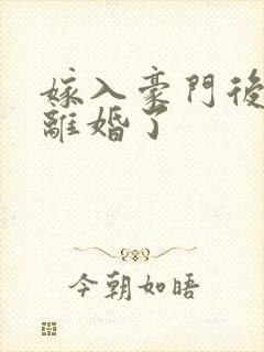 嫁入豪门后我又离婚了