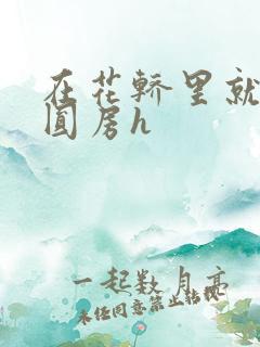 在花轿里就开始圆房h